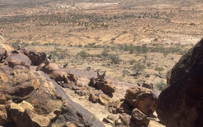 A Soul having a human experience