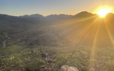 Get Inspired – Learn How