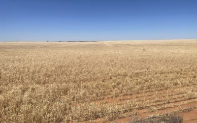 Let’s talk about God