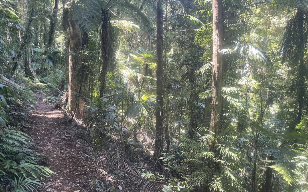 Conflict versus easy rider